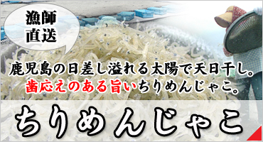 󤸤㤳