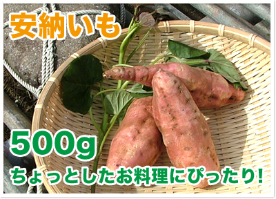 安納いも 500g詳細ページ