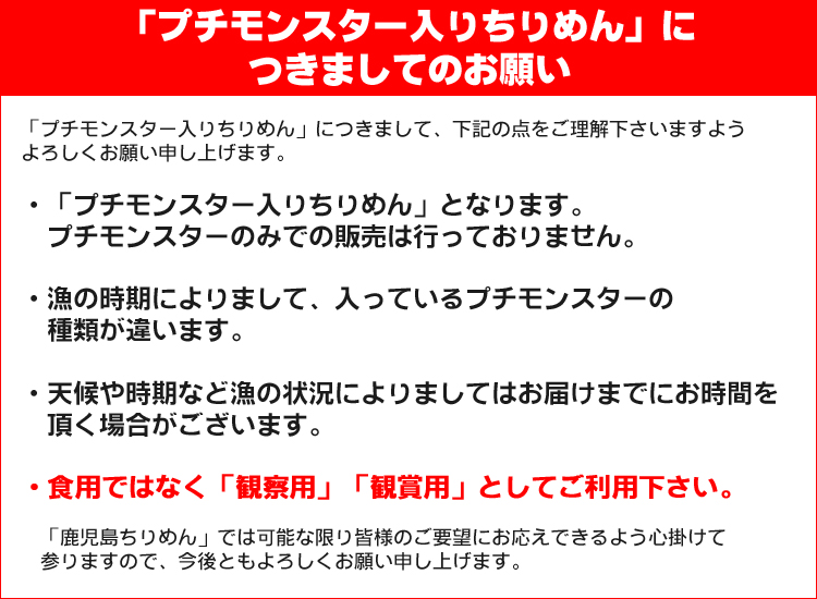 海の小さなお友達 プチモンスター入りちりめん